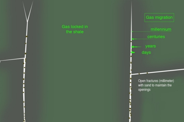 Gas migration in the shale in proximity to the new fractures; metric view of shale at the end of exploitation (3 to 5 years?)